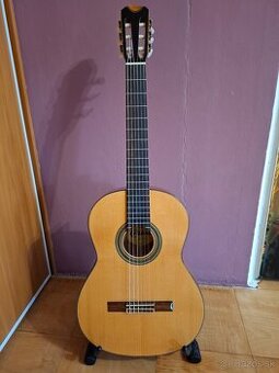 Klasická gitara Face CG-40S