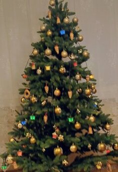 Individuálne online kurzy nemčiny pre všetky úrovne