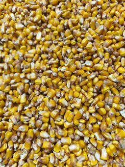 Pšenica jačmeň kukurica hrach nahý ovos žlté proso, extrahov