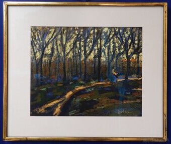 Umelecká zbierka  krásnych starožitných  obrazov