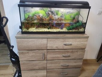 100l akvarium