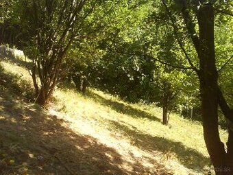 Rekreačný pozemok, Krupina - 1