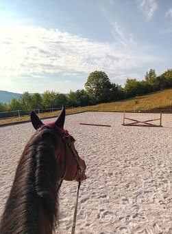Ustajnenie ​🌿 Doprajte svojmu koňovi domov v srdci prírody