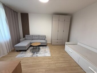 Na prenájom 1izbový byt pri auparku - Voľný ihned