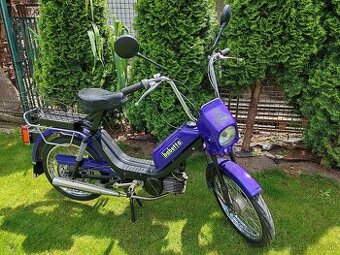 Babeta 210