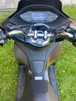 Honda PCX 9,8 kw 2024