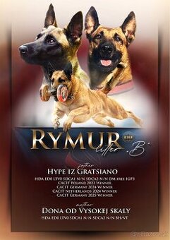 Belgický ovčiak Malinois s PP