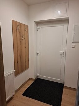 Prenájom 1-izbového bytu