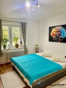 1- izbový byt Žilina, Lietavská Lúčka. - 1