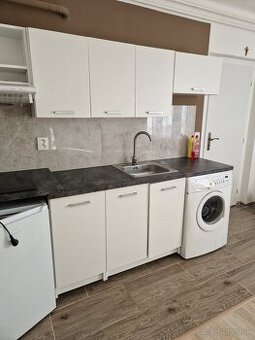 1,5  izb. byt v rodinnom dome s parkovaním a skladom