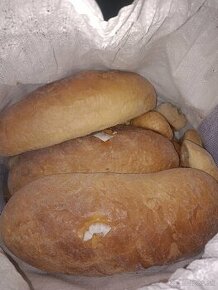 Krmny chlieb - 1
