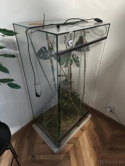 Terarium