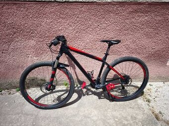 FOCUS Black Forest