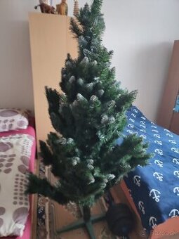 Predám vianočný stromček