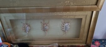 Obrazy - mušle, kvety