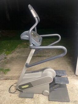 Technogym stepper xt pro 600
