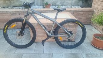 Scott Roxter 26 disc S 2021