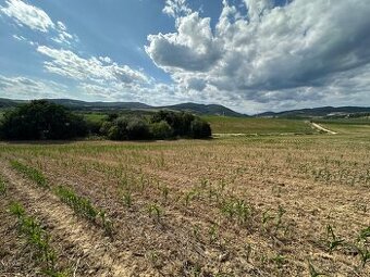 Na predaj veľký slnečný pozemok s výhľadom- Nemšová, 5988 m2
