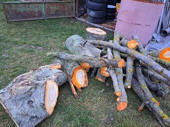 Čerešňové drevo na údenín.