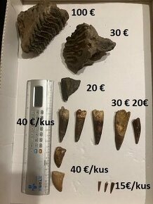 Fosílie , skameneliny , zuby , meteorit - 1