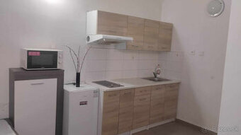 1-izbový byt, Centrum, s netom, aj domáce zvieratá