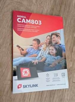 Skylink CAM803
