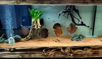‼️Akvarium 300l 120x50x50‼️