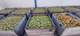 hrušky konference 0,53 eur