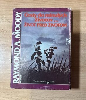 Cesty do minulých životov...Život pred životom