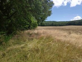 POZEMOK PRI NITRE HORNÉ LEFANTOVCE - 1