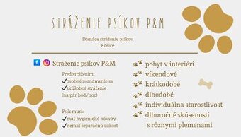 Stráženie psov