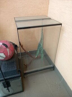 Terárium