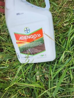 Adengo