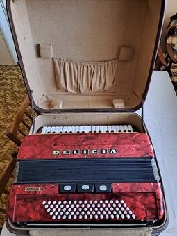Akordeón Delicia Carmen 2