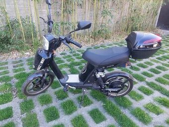 Racceway e-babeta