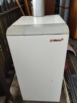 Protherm Medved - 1