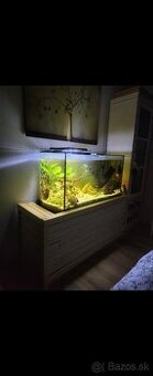 Predám panoramatické akvárium 200l, komplet alebo zvlášť