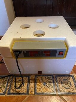 Plnoautomatická liaheň