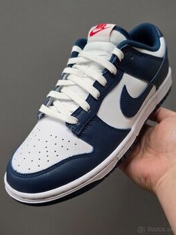 Nike Dunk Low Retro