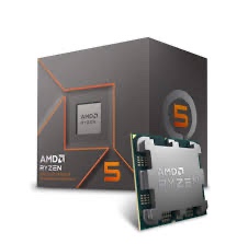 AMD ryzen 5 8500g