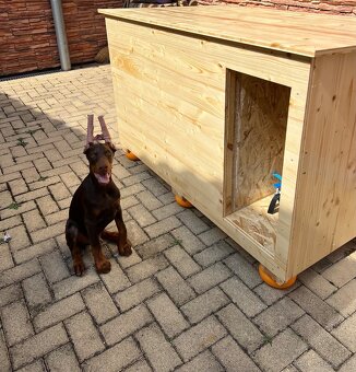 Psia búda, búdy pre psov, mačky, iné domáce zvierat, budy