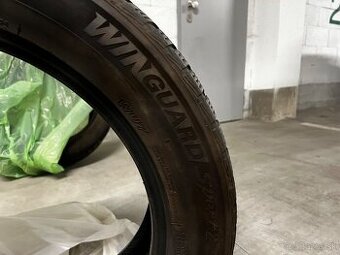 Zimné 235/55 R19 Nexen
