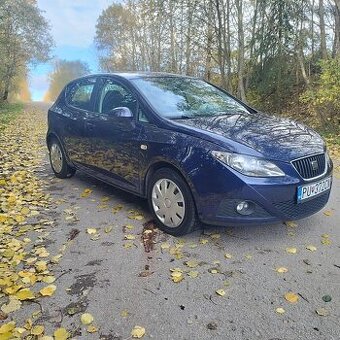 Seat Ibiza 6J, 2009, 1.4 16V, 63Kw, 198tis.km