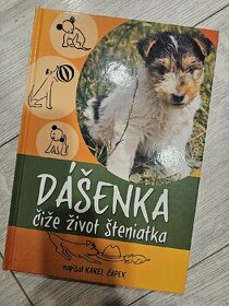 Kniha Dasenka cize zivot steniatka