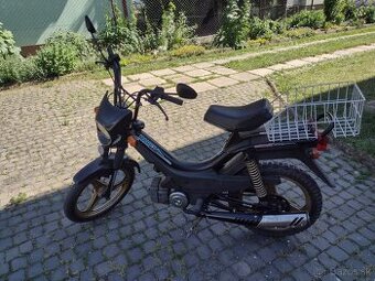 Korado 216