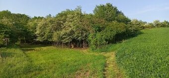 Pozemok Buková