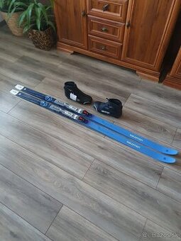 Predam bezkovy set,FISCHER,184 cm,NNN,c.42,supiny