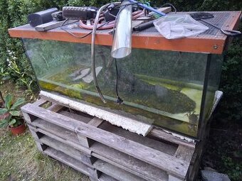 Predám veľké akvárium vhodné na terárium 120x40x50