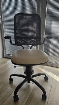 Spinalis kancelárska stolicka