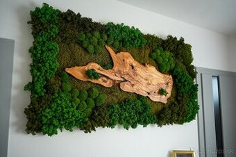 Machovy obraz s olivovym drevom